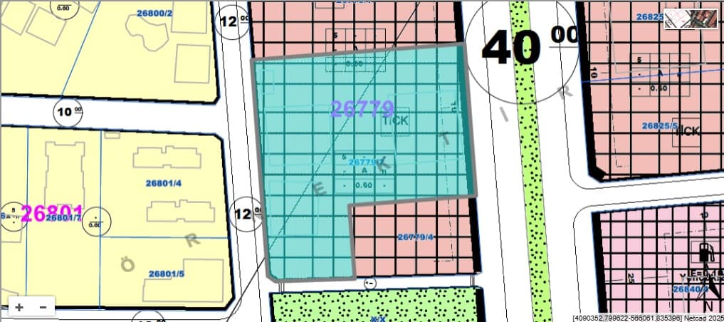 imar kroki kırçiçeği