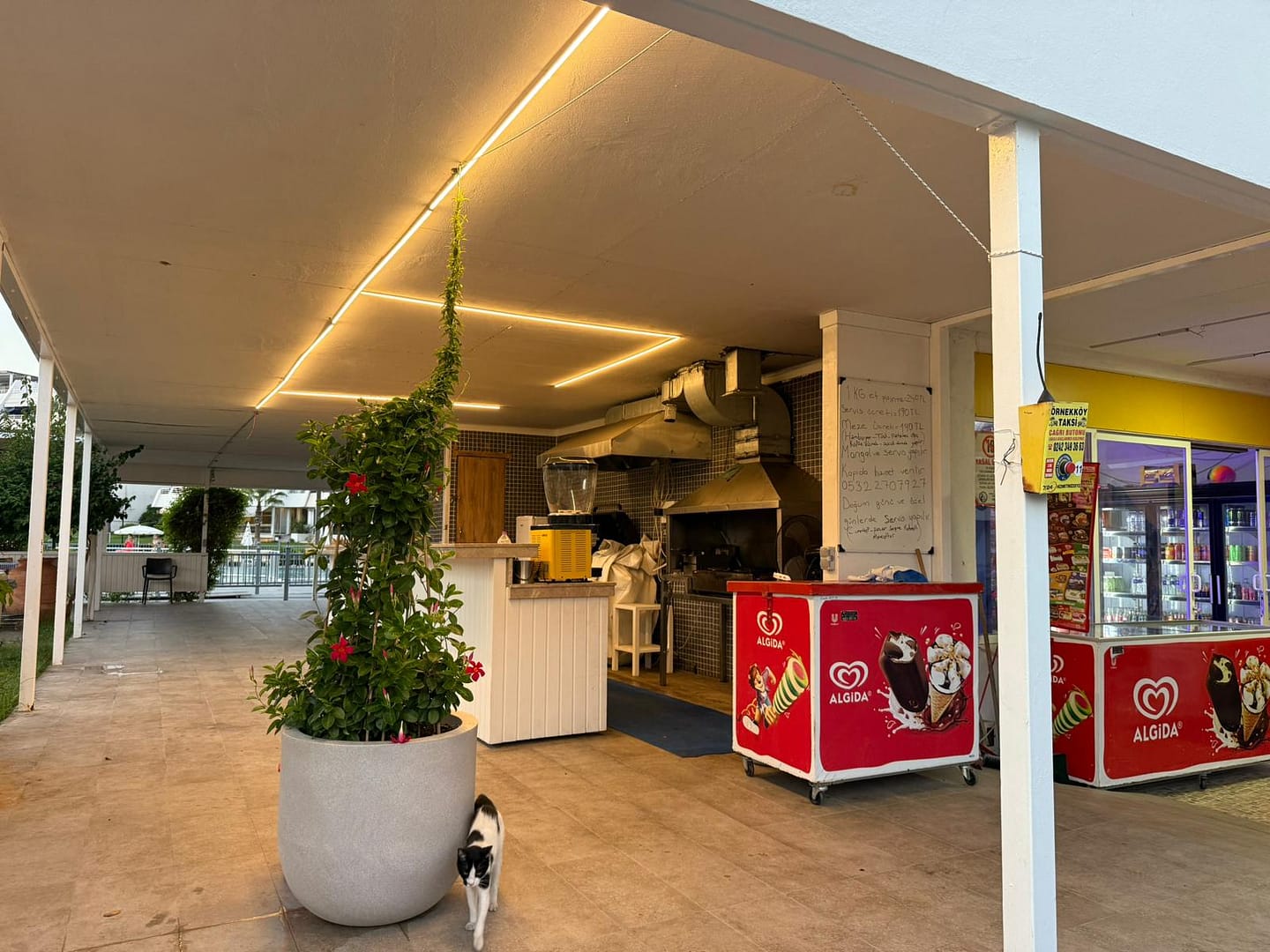 WhatsApp Image 2025-10-11 at 11.38.20 (1)