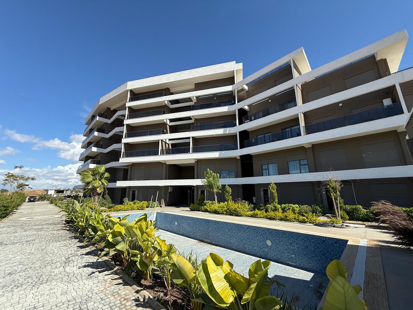 WhatsApp Image 2025-11-05 at 00.46.05