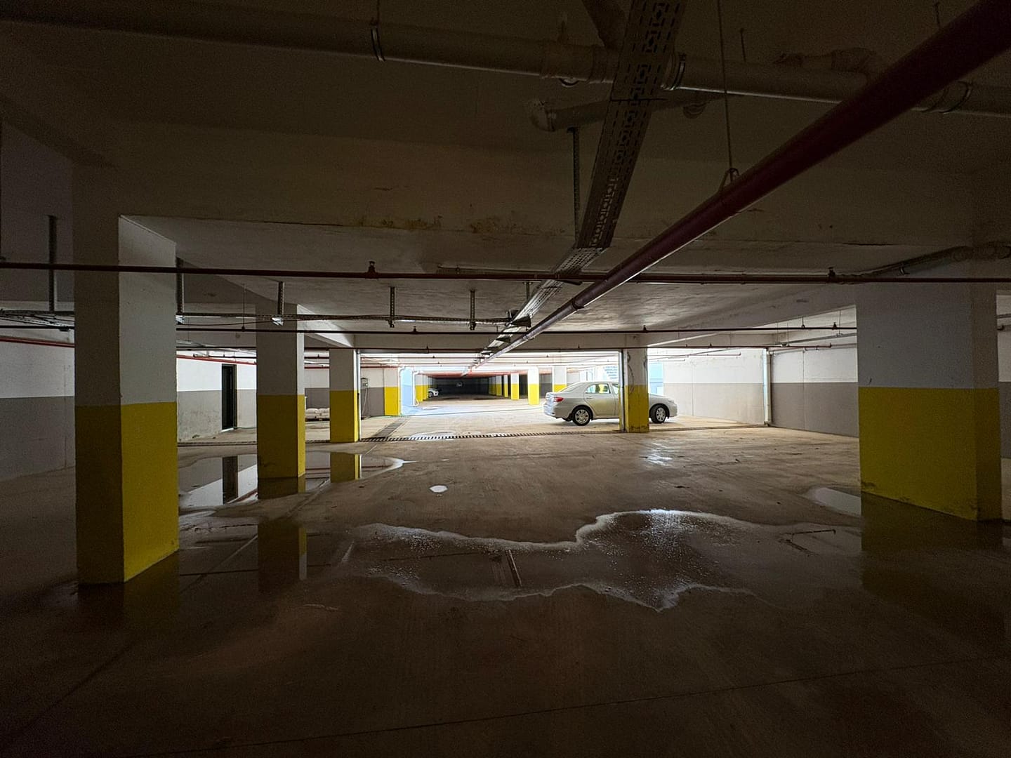 WhatsApp Image 2026-02-09 at 12.15.32 (1)