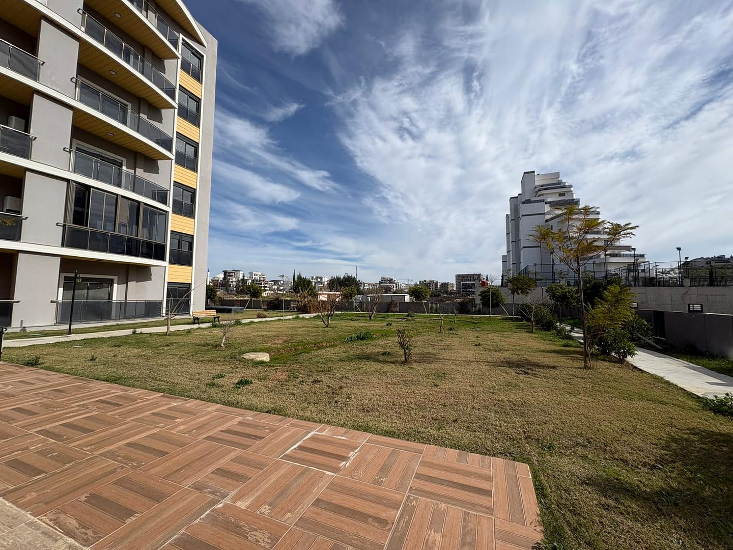 WhatsApp Image 2026-02-09 at 12.15.36