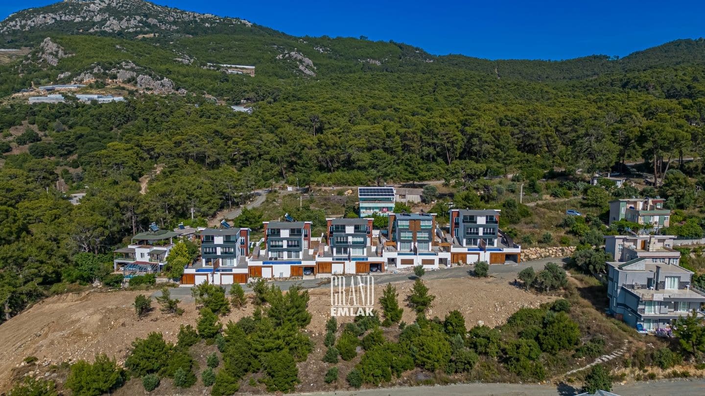 46