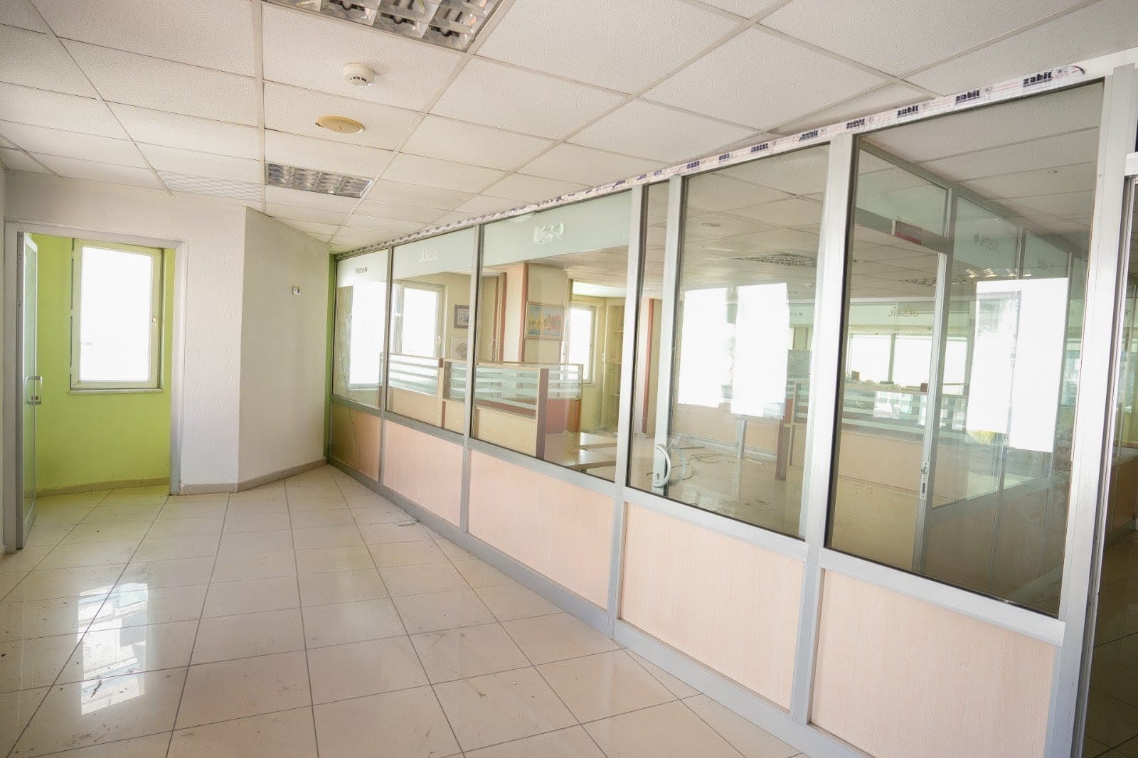 WhatsApp Image 2026-03-15 at 10.06.22 (2)