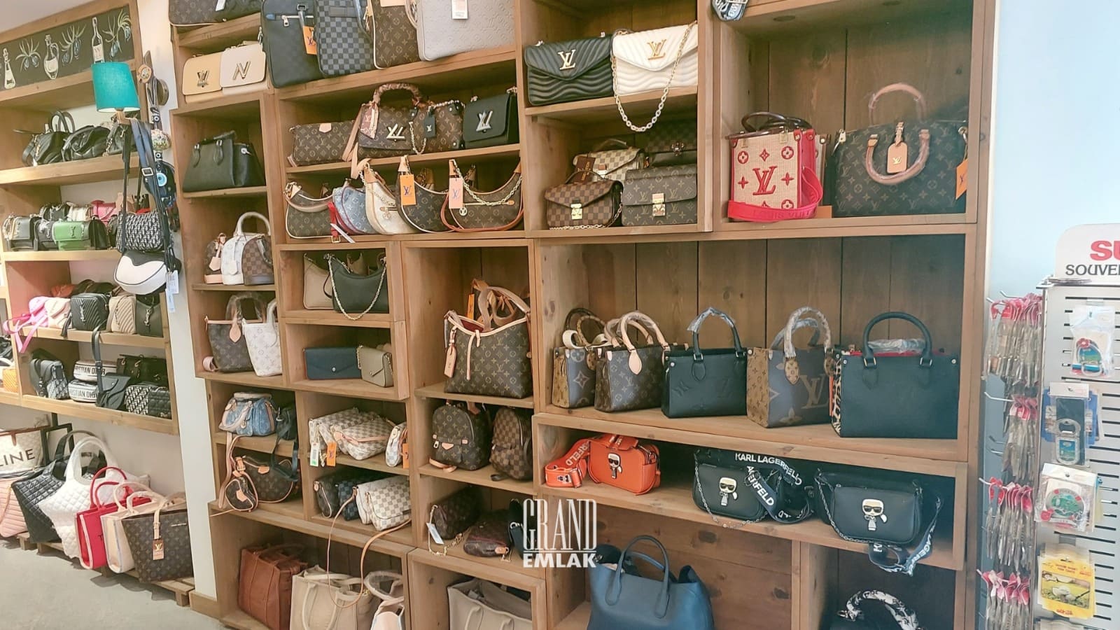 WhatsApp Image 2024-09-14 at 10.31.13 (12)