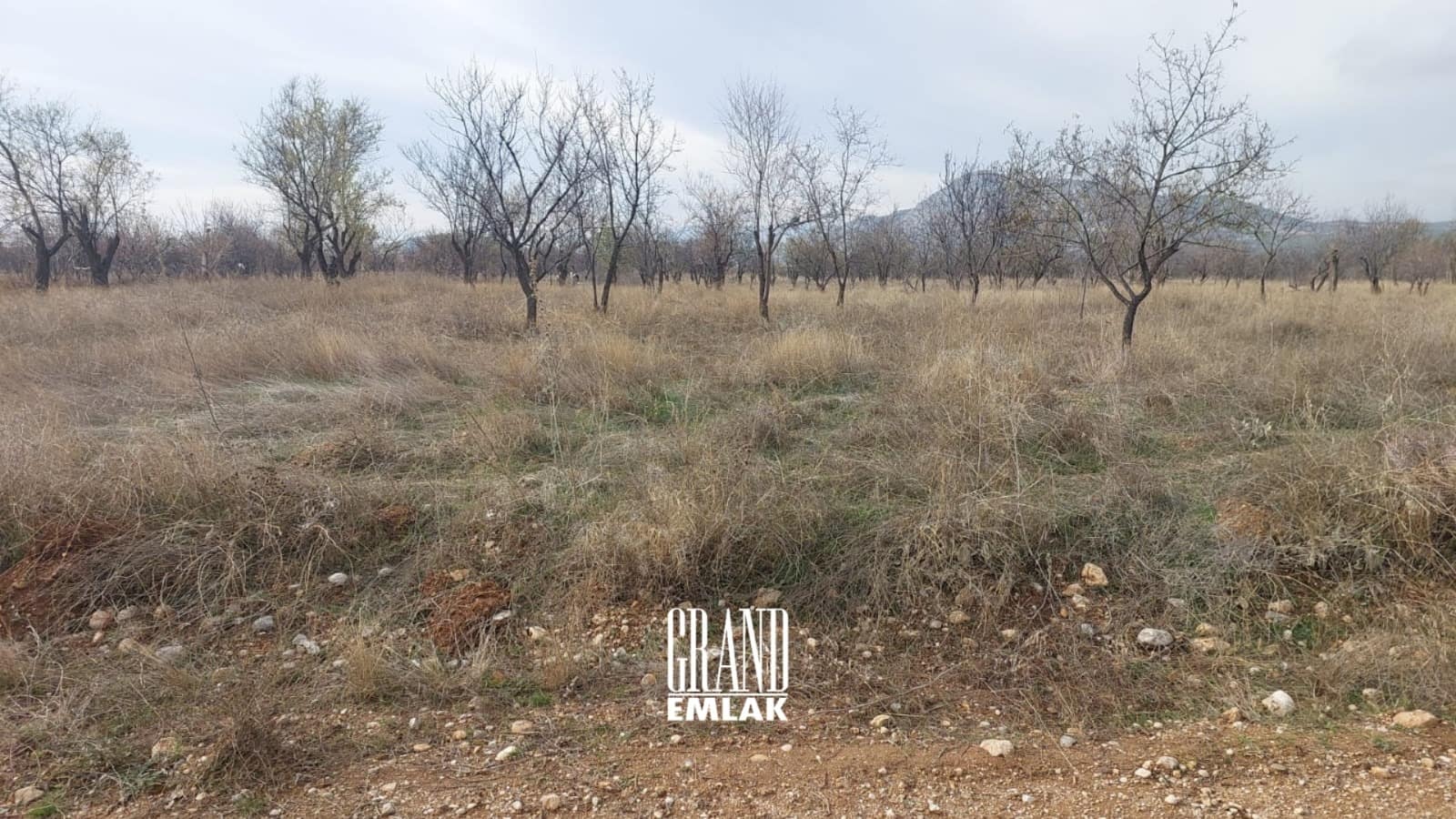 WhatsApp Image 2024-12-02 at 13.36.34 (1)