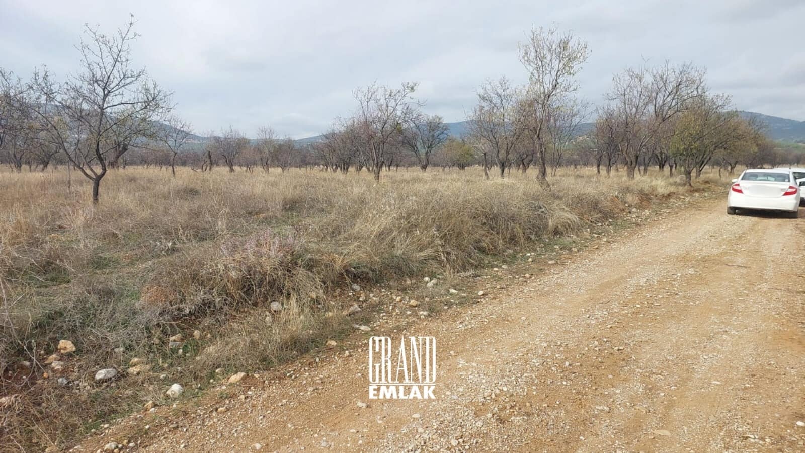 WhatsApp Image 2024-12-02 at 13.36.34 (2)