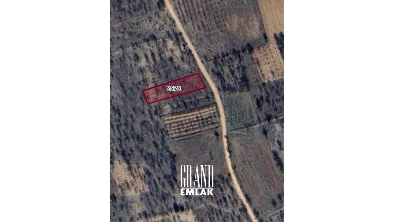 WhatsApp Image 2024-12-02 at 13.36.34