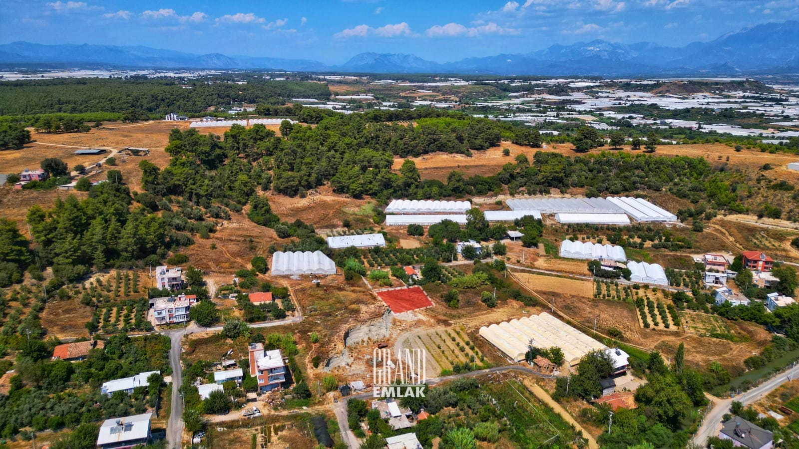 WhatsApp Image 2025-08-29 at 15.27.44