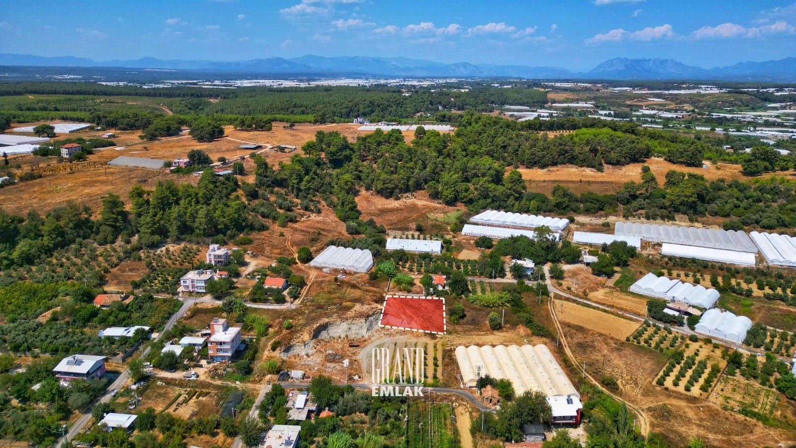 WhatsApp Image 2025-08-29 at 15.27.46