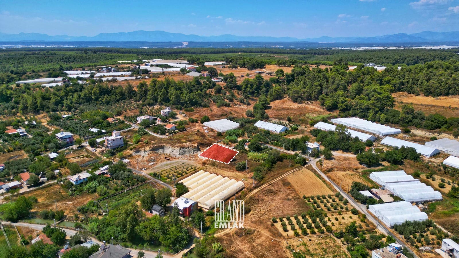 WhatsApp Image 2025-08-29 at 15.27.50