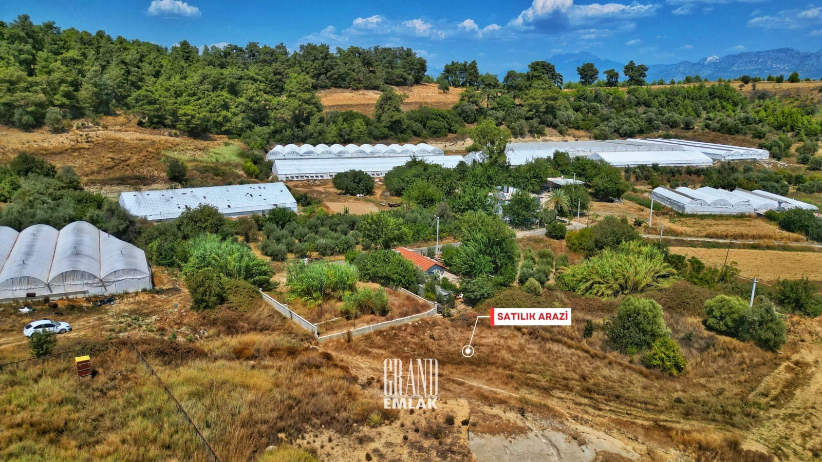 WhatsApp Image 2025-08-29 at 15.27.53 (2)