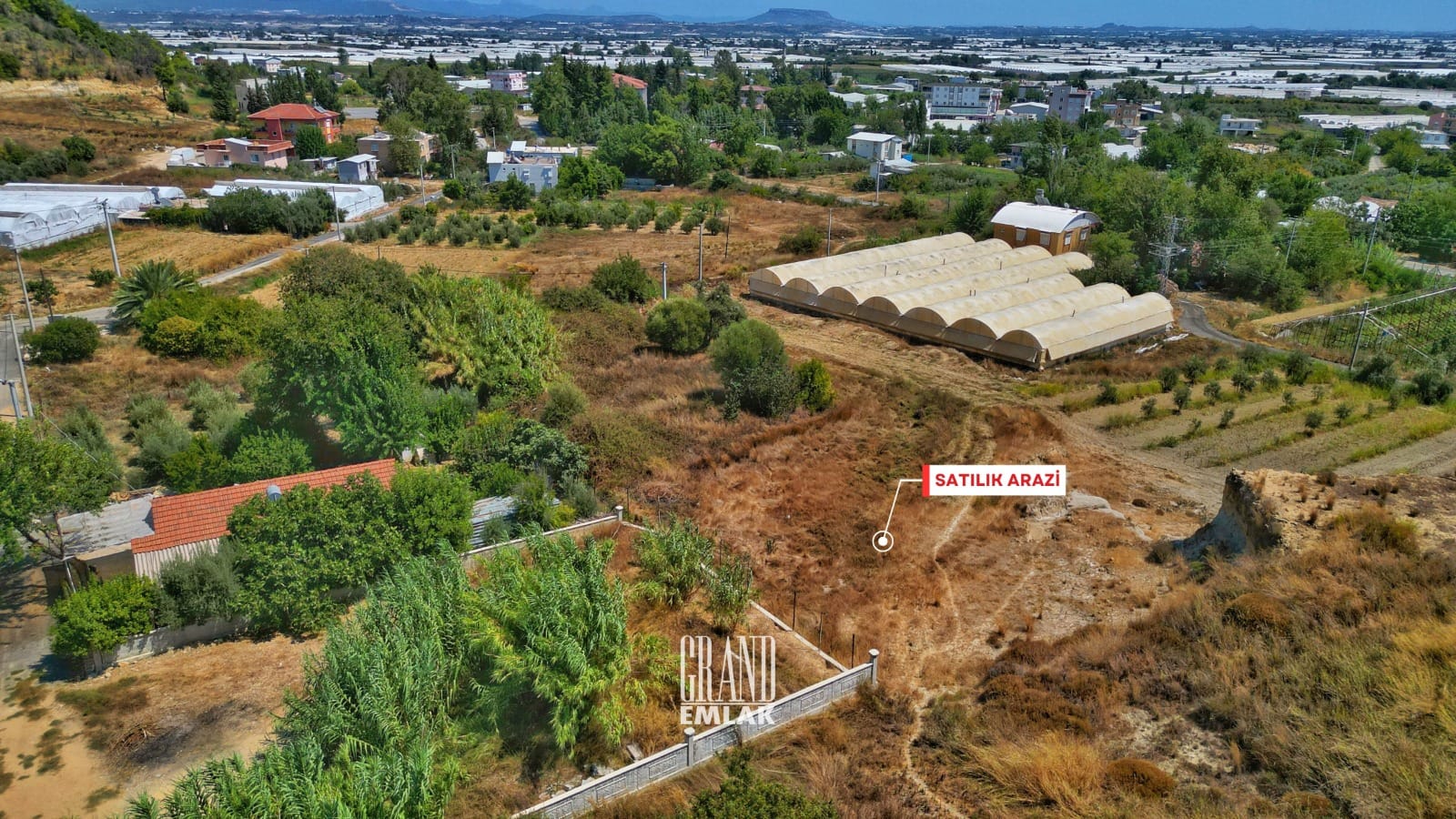 WhatsApp Image 2025-08-29 at 15.27.53