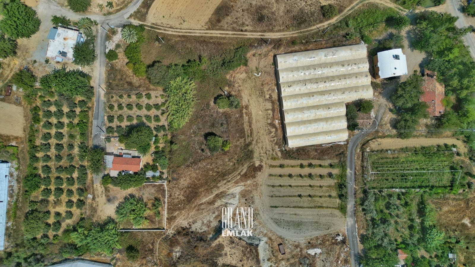 WhatsApp Image 2025-08-29 at 15.27.54 (3)