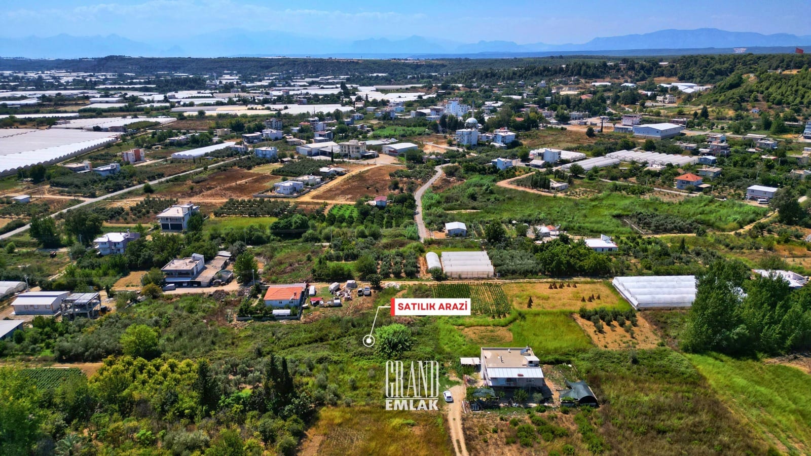 WhatsApp Image 2025-08-29 at 15.28.54 (3)