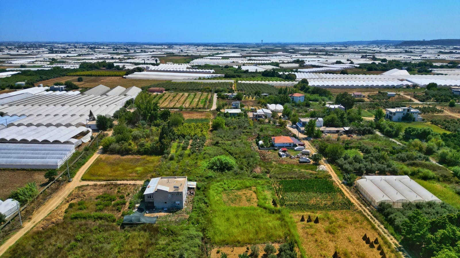 WhatsApp Image 2025-08-29 at 15.28.54