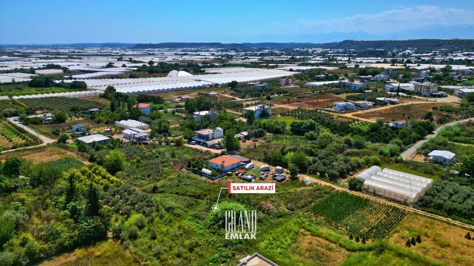 WhatsApp Image 2025-08-29 at 15.28.55