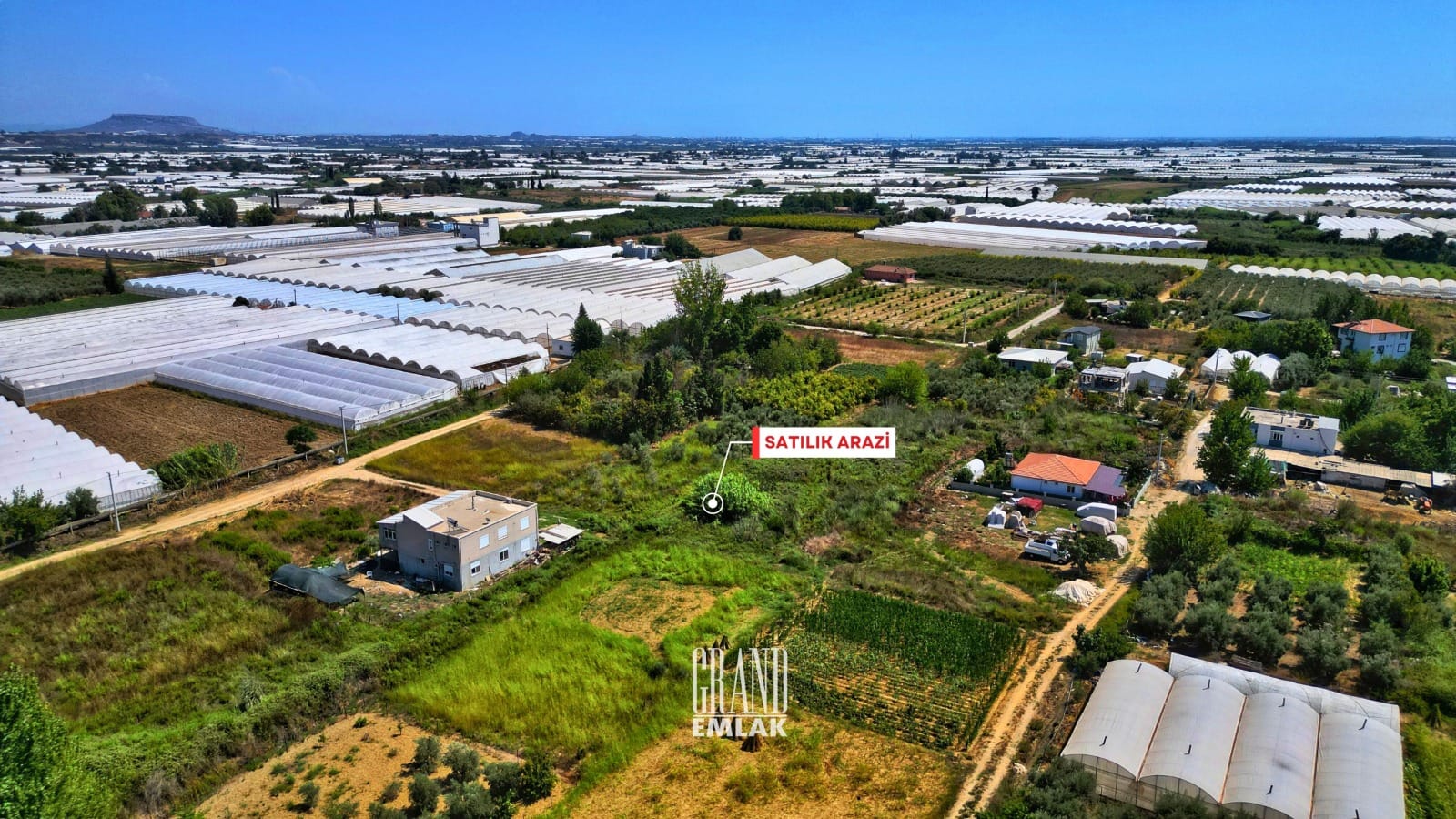 WhatsApp Image 2025-08-29 at 15.28.56 (1)