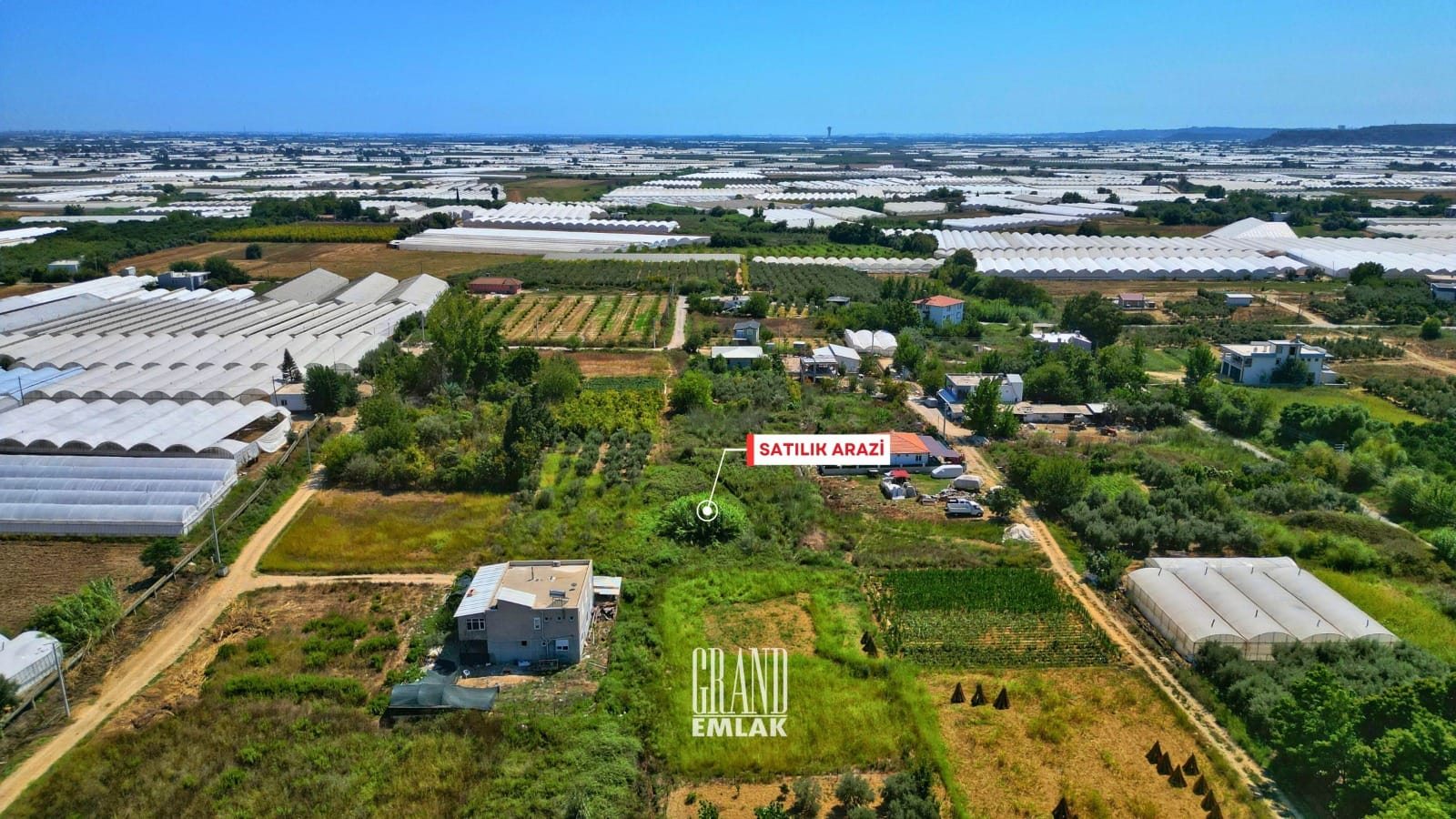 WhatsApp Image 2025-08-29 at 15.28.56