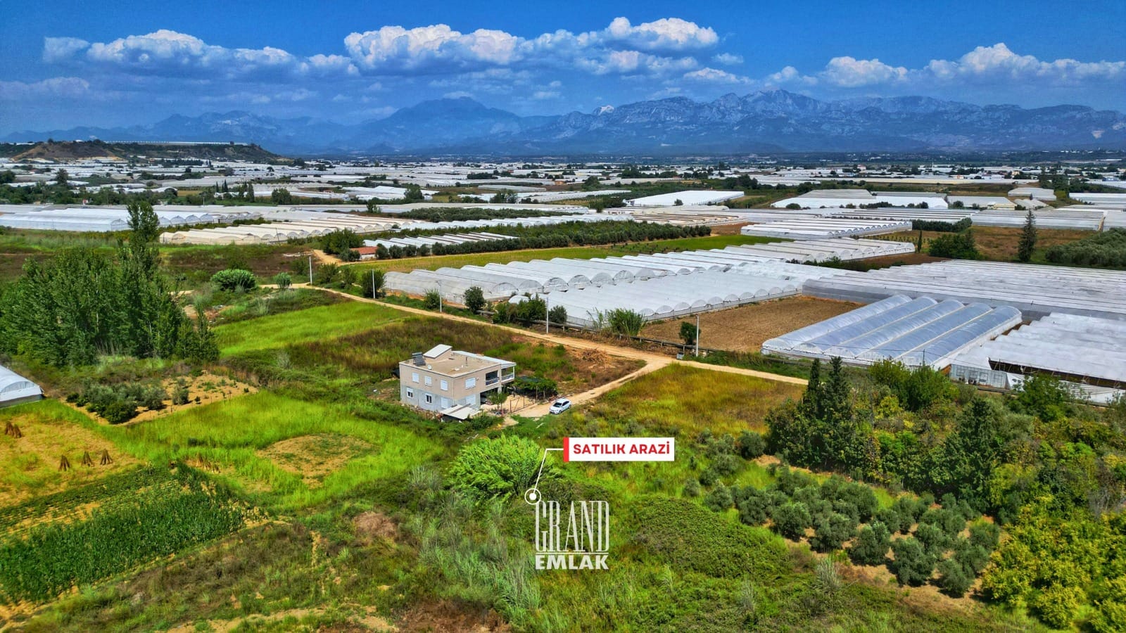 WhatsApp Image 2025-08-29 at 15.28.58 (1)