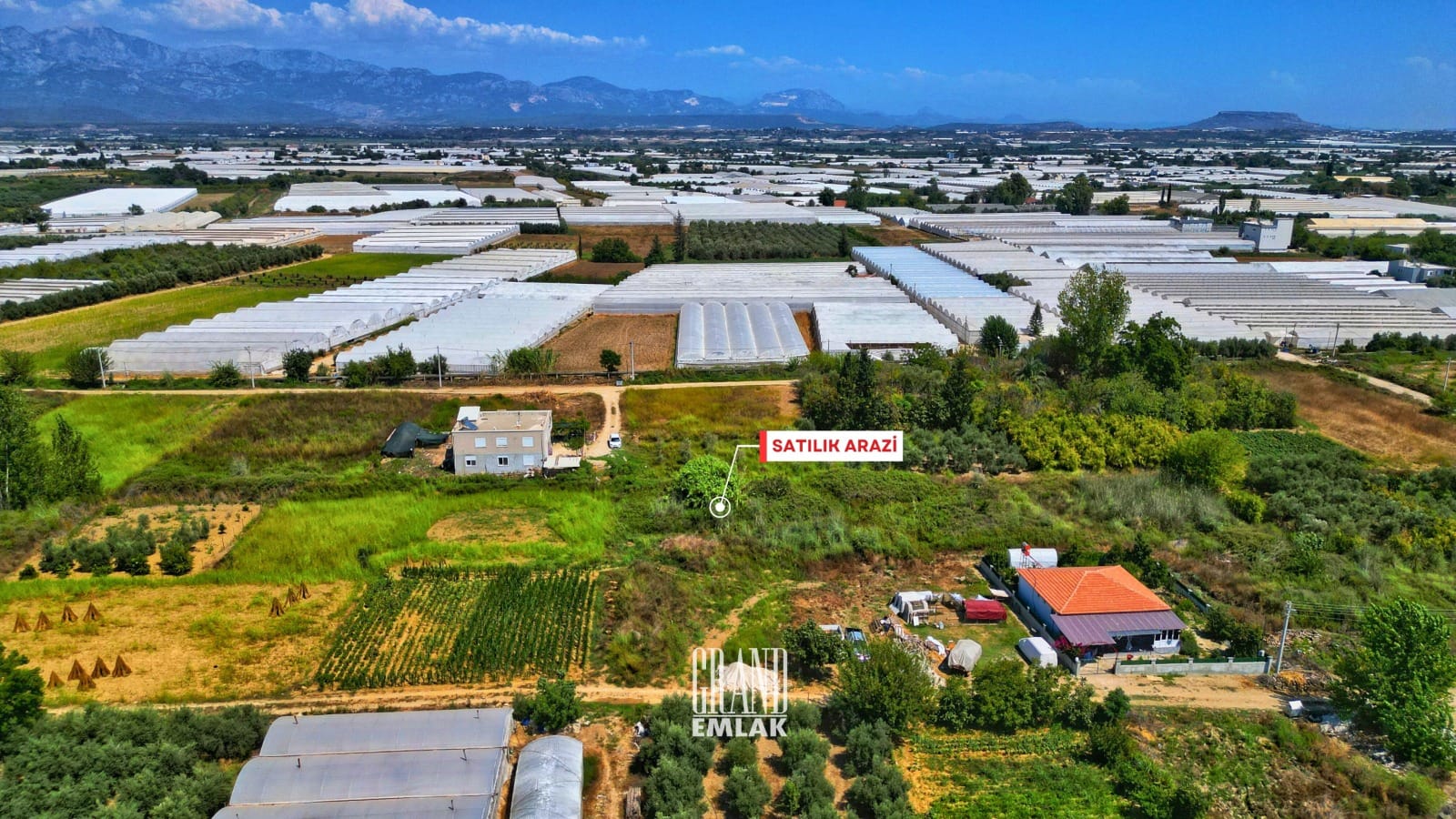 WhatsApp Image 2025-08-29 at 15.28.58