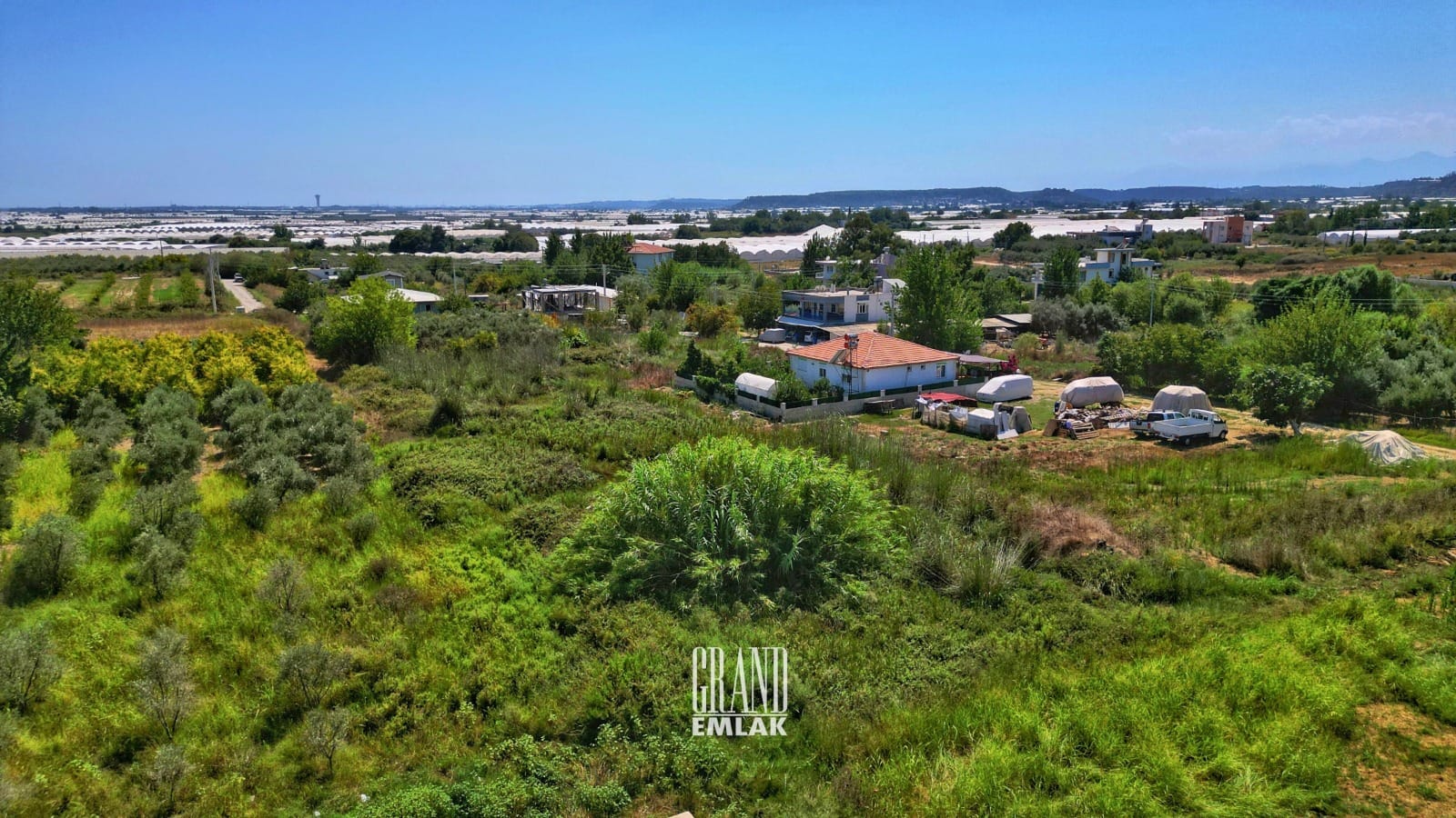 WhatsApp Image 2025-08-29 at 15.28.59 (1)