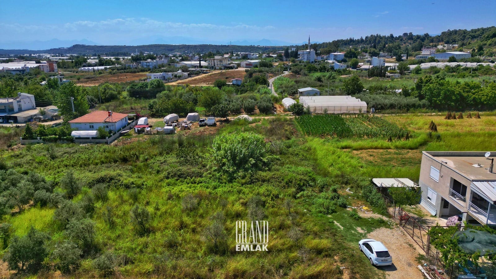 WhatsApp Image 2025-08-29 at 15.28.59