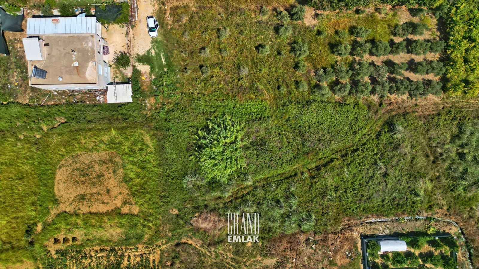 WhatsApp Image 2025-08-29 at 15.29.00