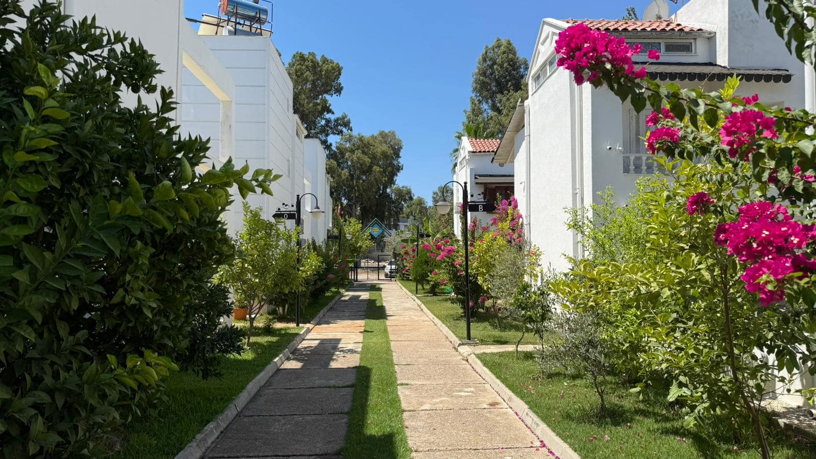 PHOTO-2025-07-26-12-38-22