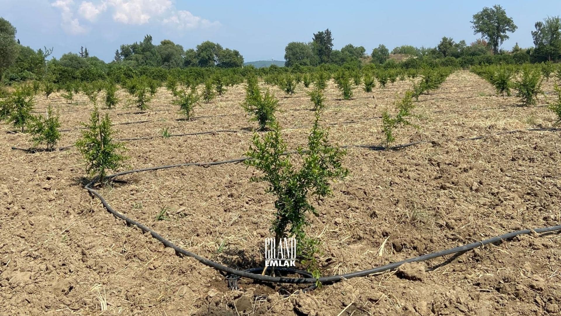 Antalya, Aksu Karaöz’de Satılık 9.100 m2 Satılık Tarla (1)