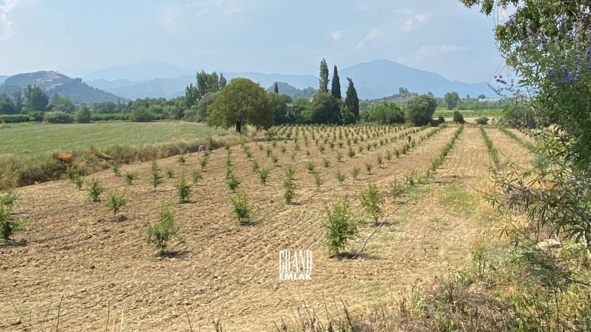 Antalya, Aksu Karaöz’de Satılık 9.100 m2 Satılık Tarla (2)