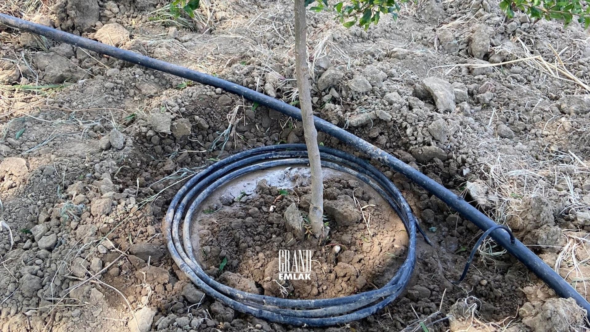 Antalya, Aksu Karaöz’de Satılık 9.100 m2 Satılık Tarla (3)
