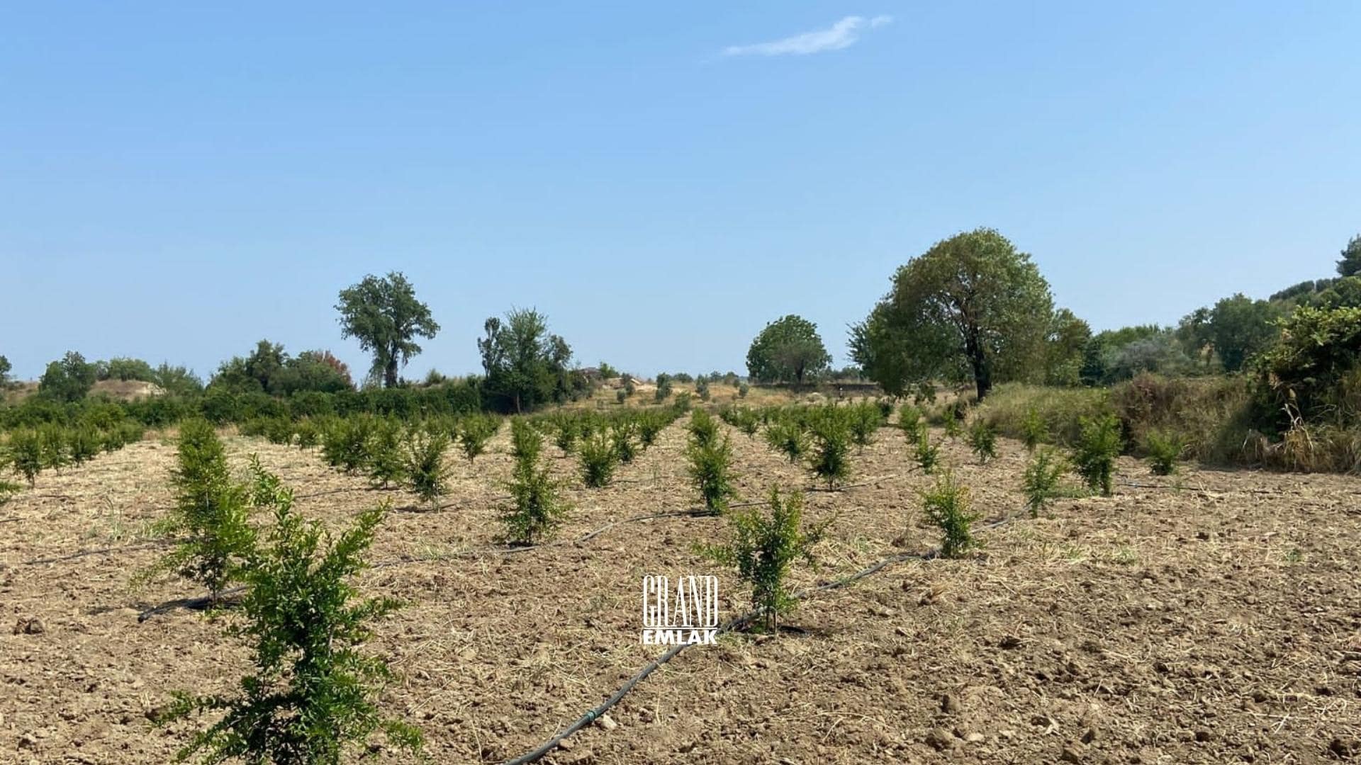 Antalya, Aksu Karaöz’de Satılık 9.100 m2 Satılık Tarla (4)