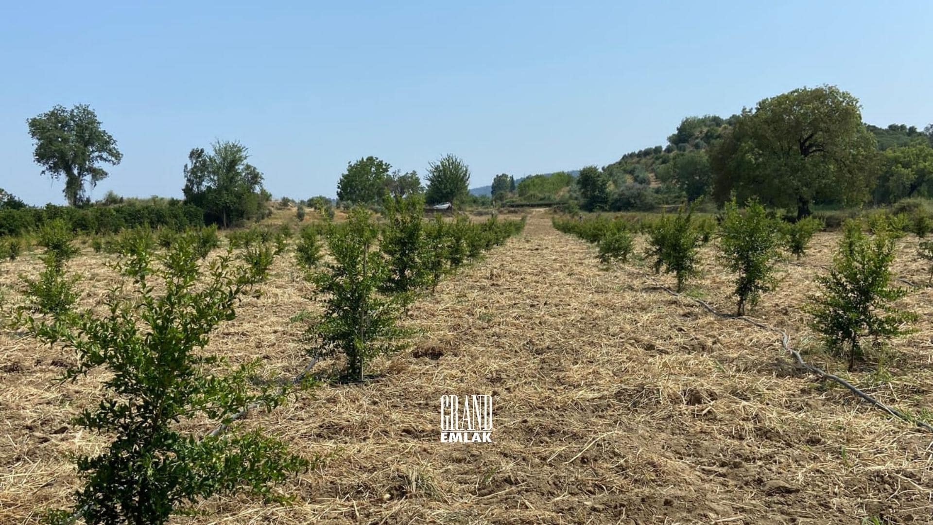 Antalya, Aksu Karaöz’de Satılık 9.100 m2 Satılık Tarla (6)
