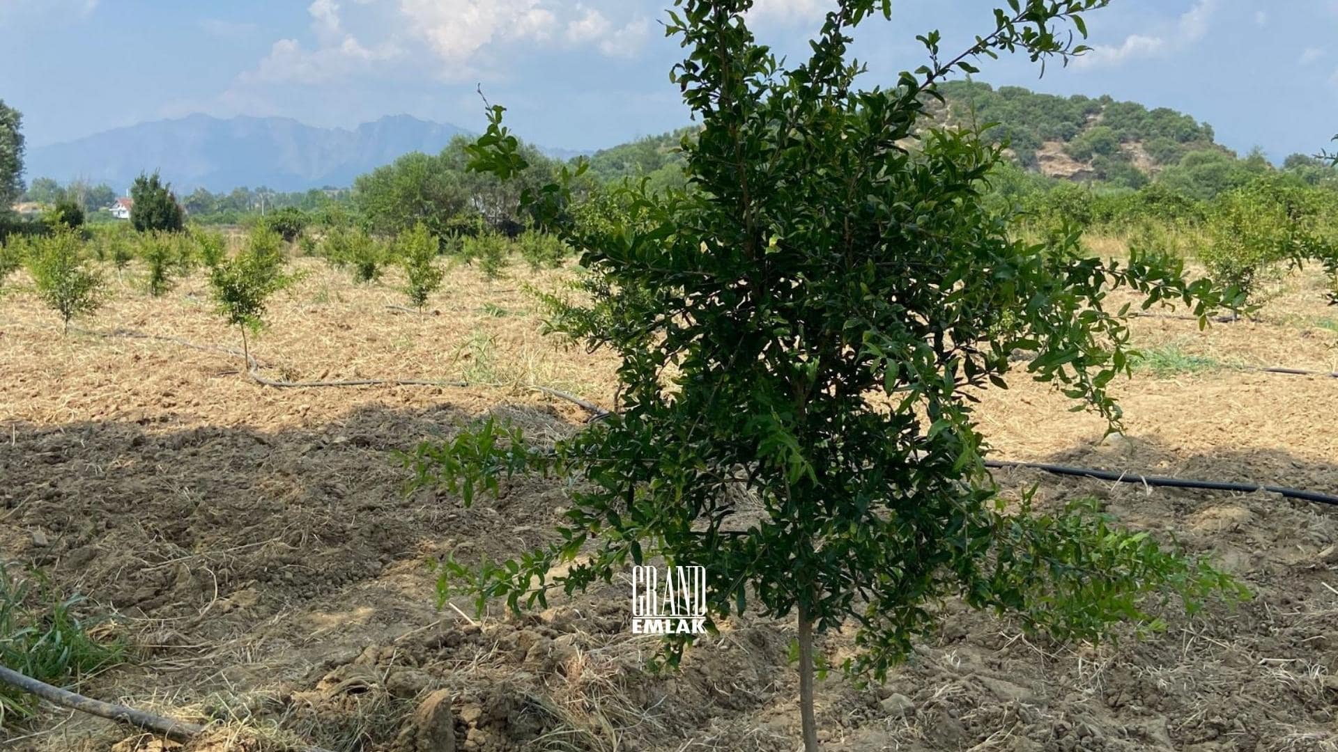 Antalya, Aksu Karaöz’de Satılık 9.100 m2 Satılık Tarla (7)