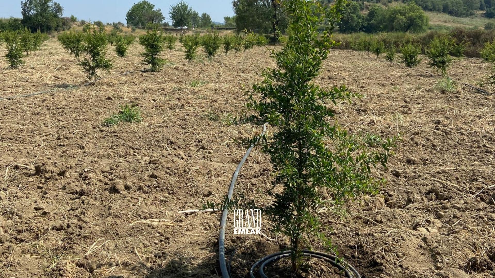Antalya, Aksu Karaöz’de Satılık 9.100 m2 Satılık Tarla (8)