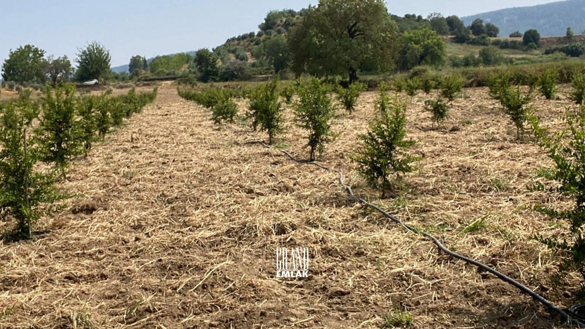 Antalya, Aksu Karaöz’de Satılık 9.100 m2 Satılık Tarla (9)