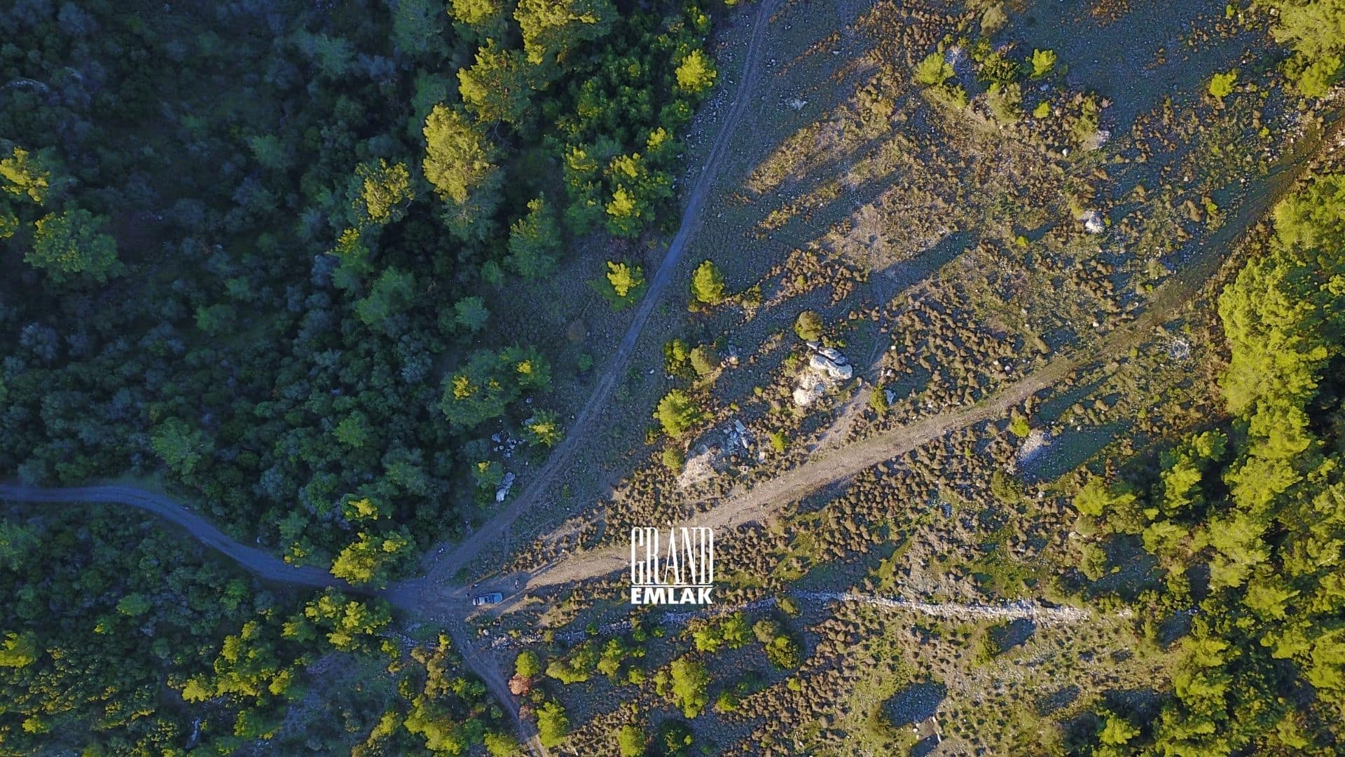 ADRASAN KUMLUCA 8 DÖNÜM (11)