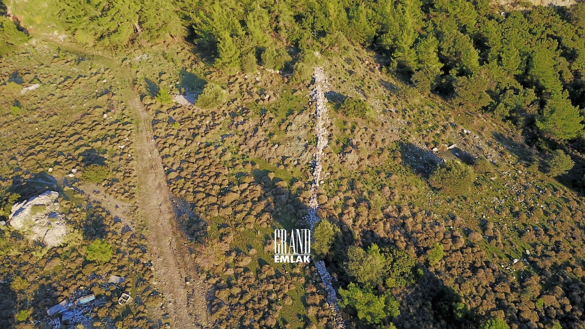 ADRASAN KUMLUCA 8 DÖNÜM (2)