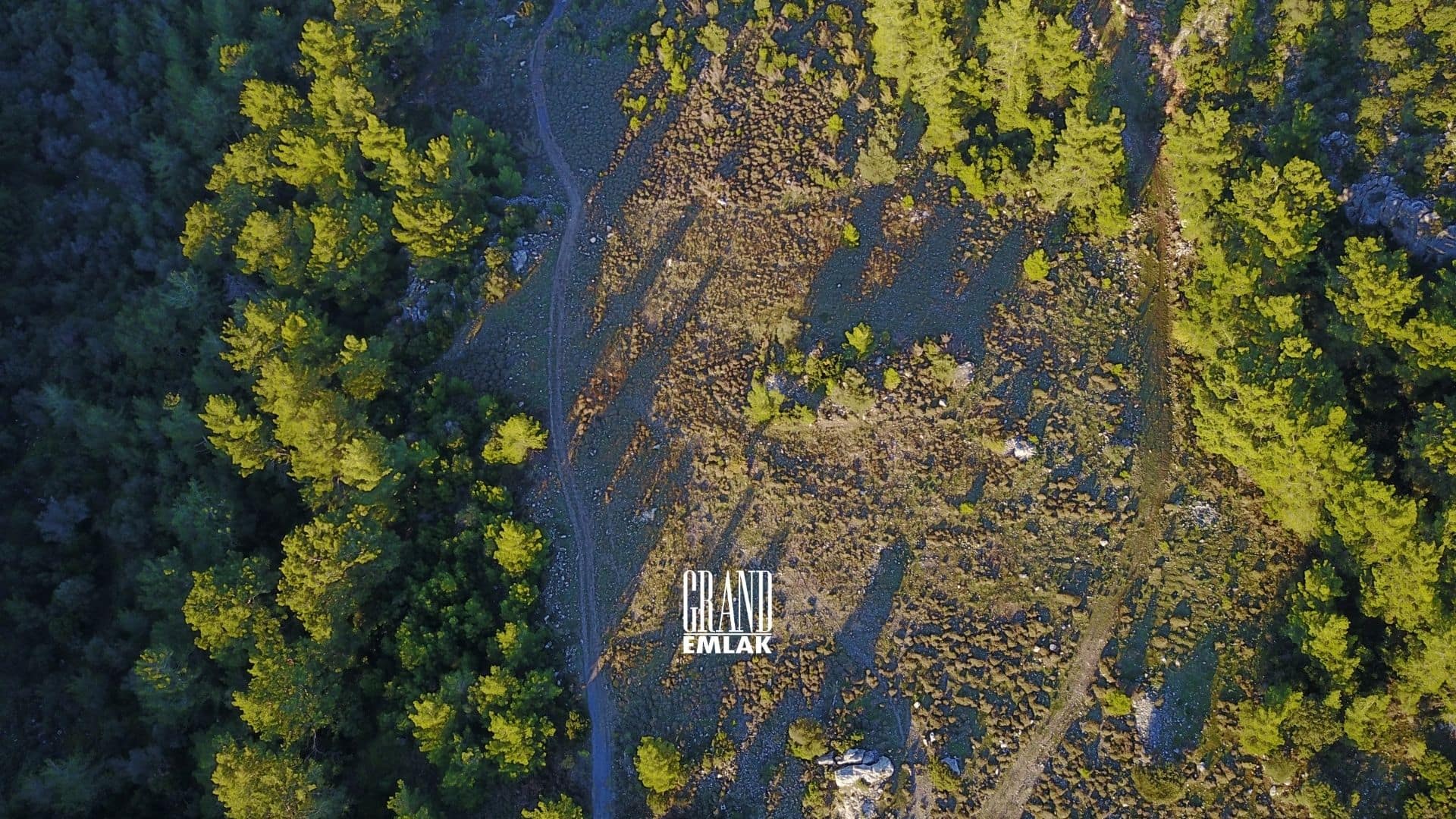 ADRASAN KUMLUCA 8 DÖNÜM (3)