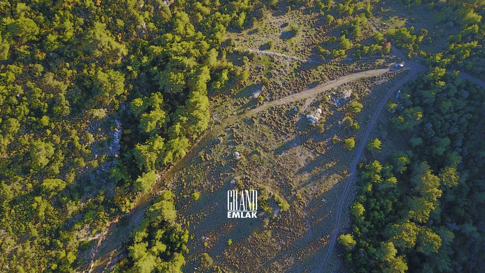 ADRASAN KUMLUCA 8 DÖNÜM (6)