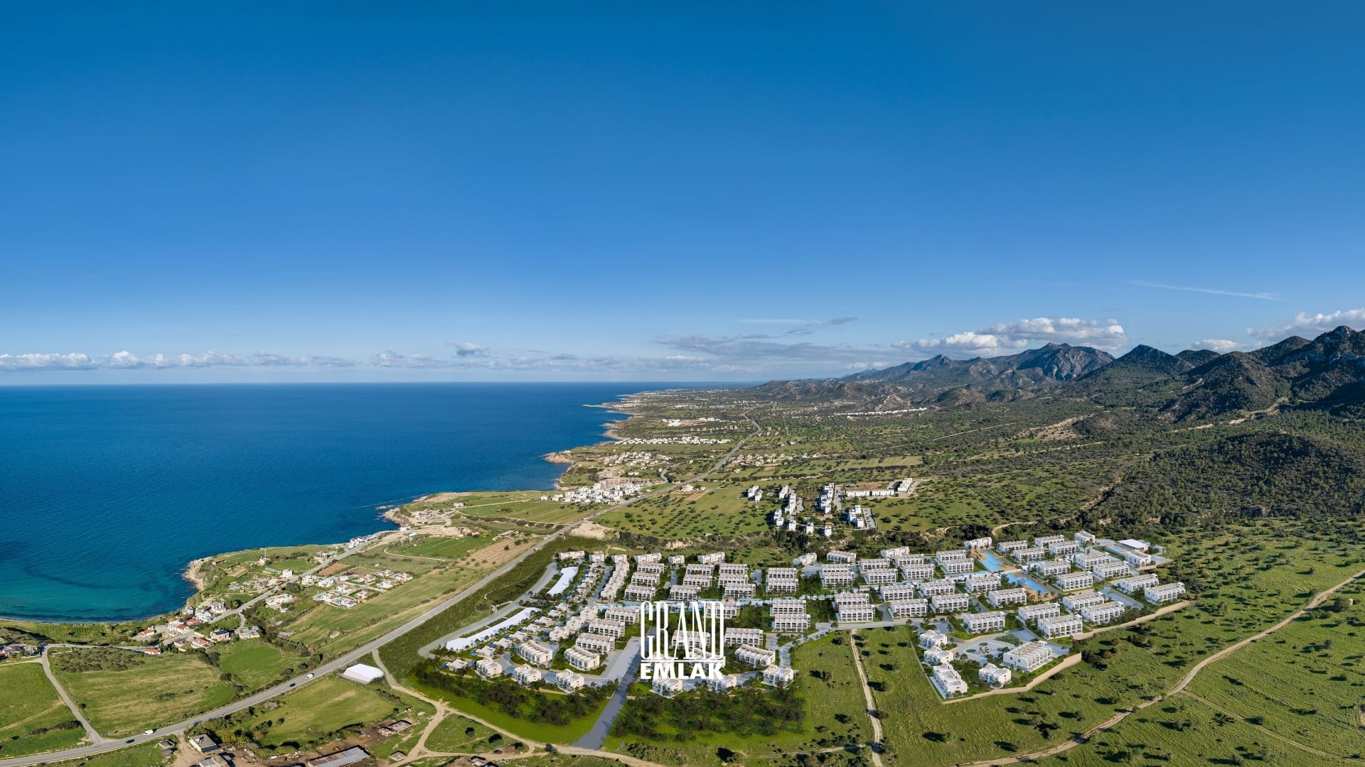 HABİTAT EVERGREEN (60)