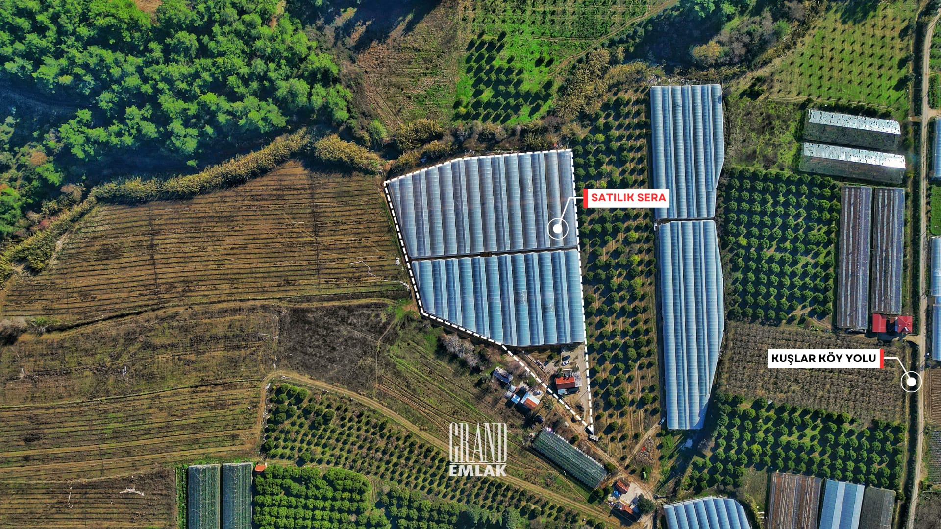 SERİK, KUŞLAR’DA SATILIK 12,7 DÖNÜM ARAZİ VE SERA 1 (5)