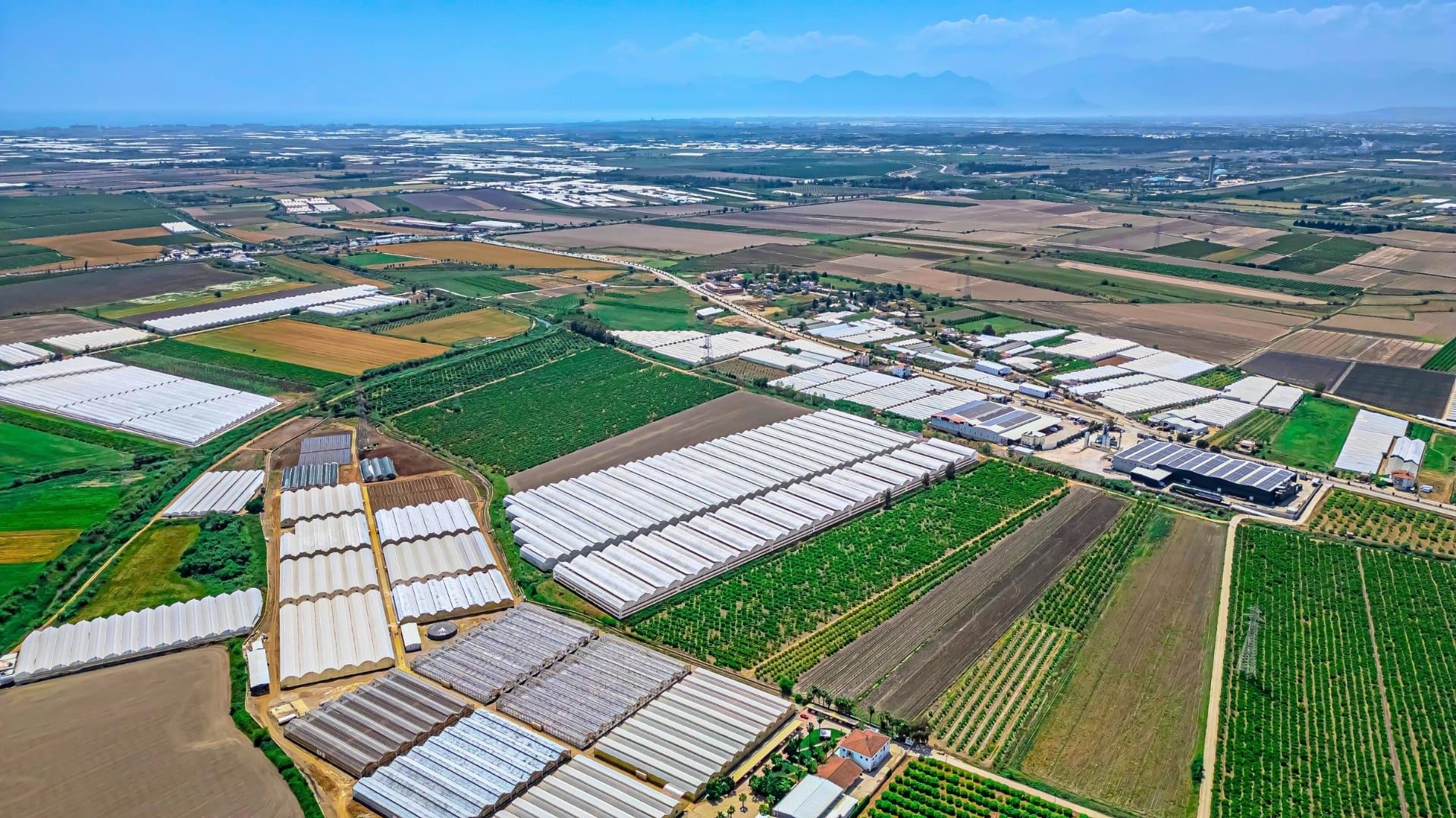 Serik, Yukarıkocayatak’da Expo’ya Yakın 68 Dönüm Satılık Tarla (1)