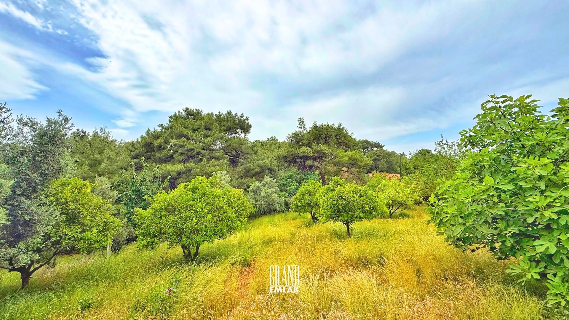 hacıaliler şehir manzaralı 3,7 dönüm logolu (4)