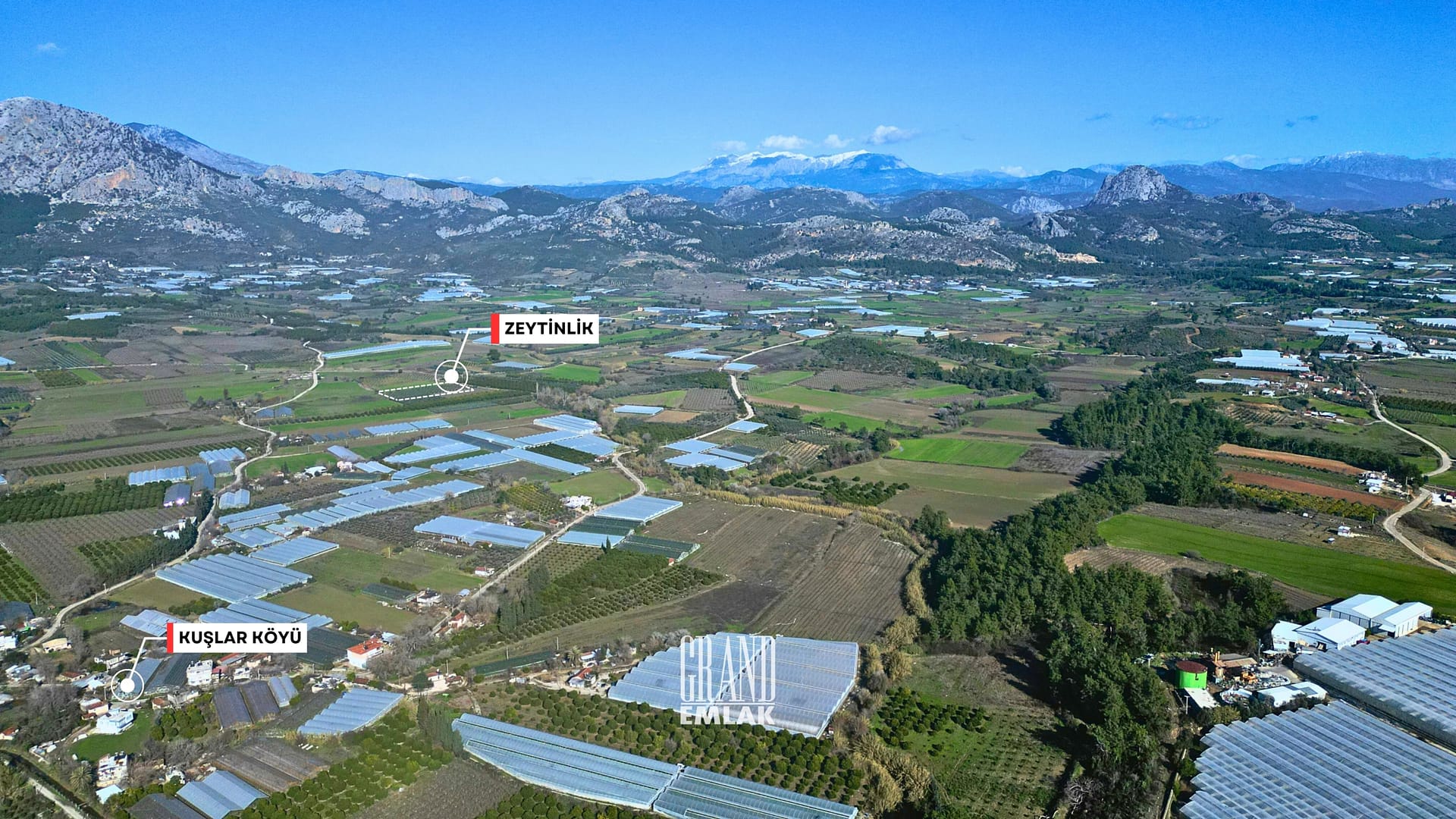 1.790 M2 ZEYTİNLİK KUŞLAR ANTALYA (1)