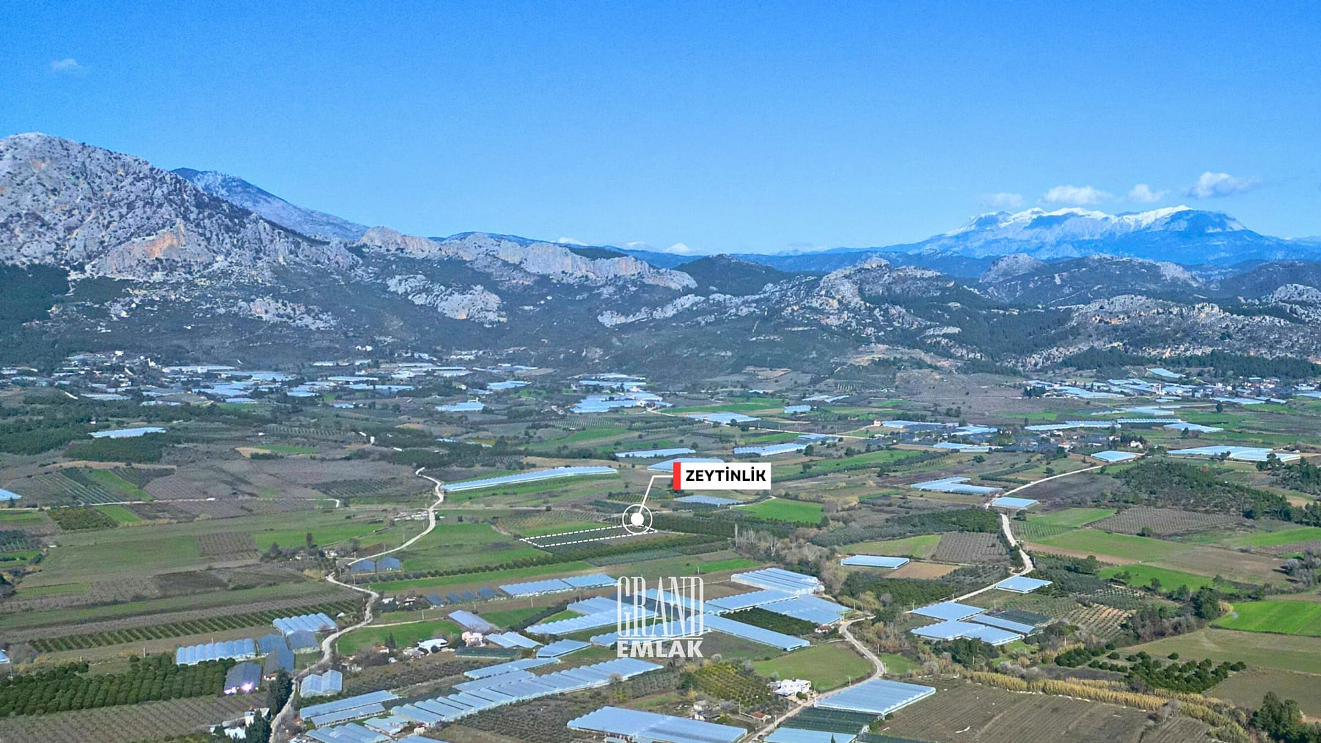 1.790 M2 ZEYTİNLİK KUŞLAR ANTALYA (2)