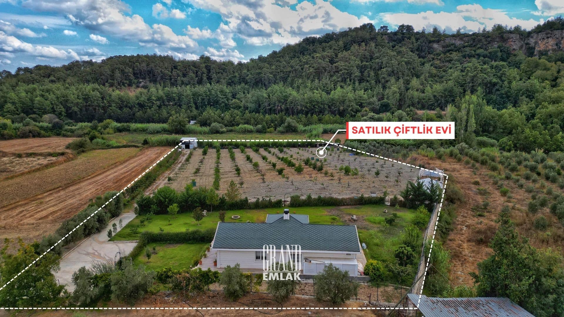 çiftlik ewvi 2 (10)