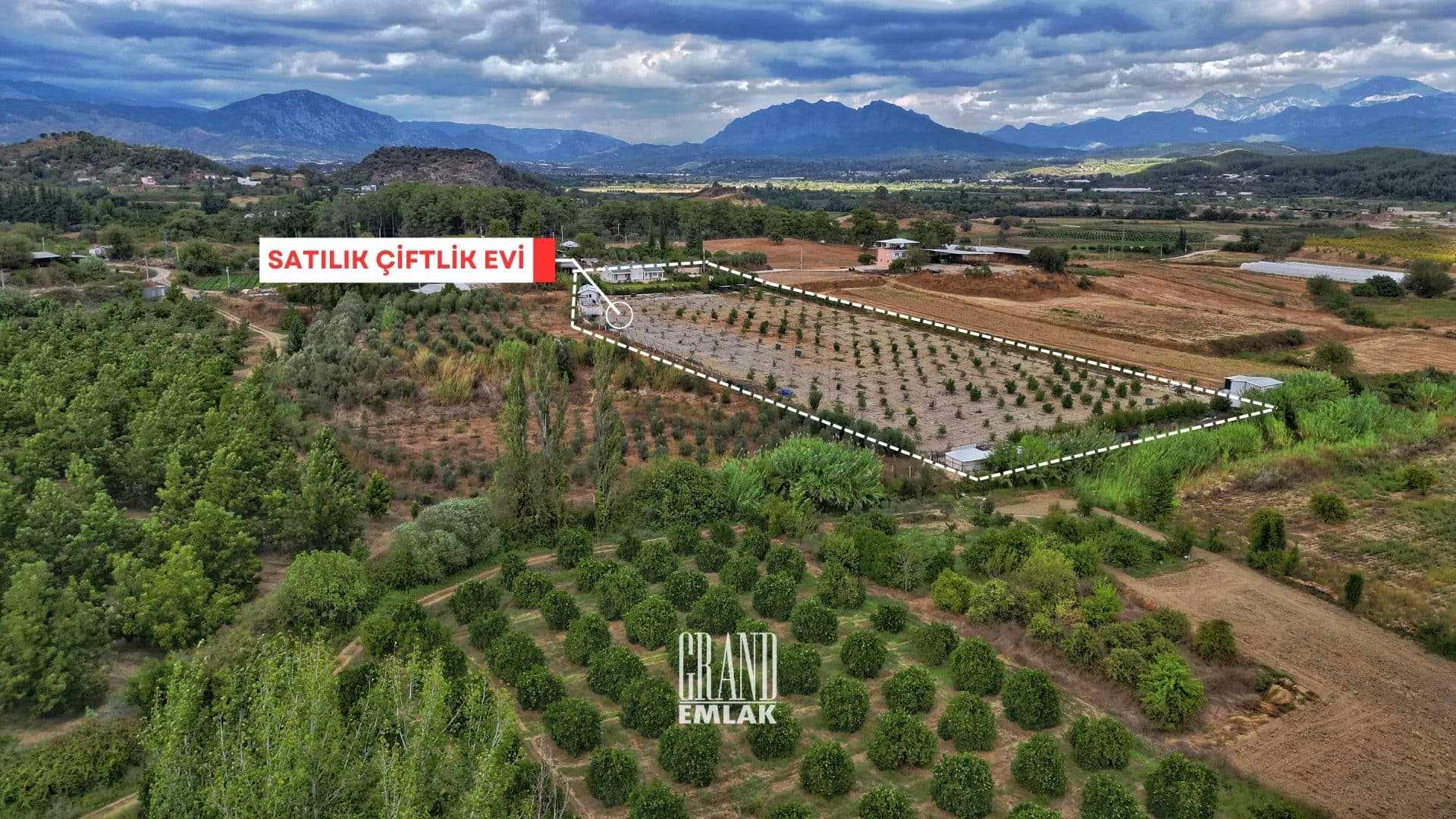 çiftlik ewvi 2 (13)