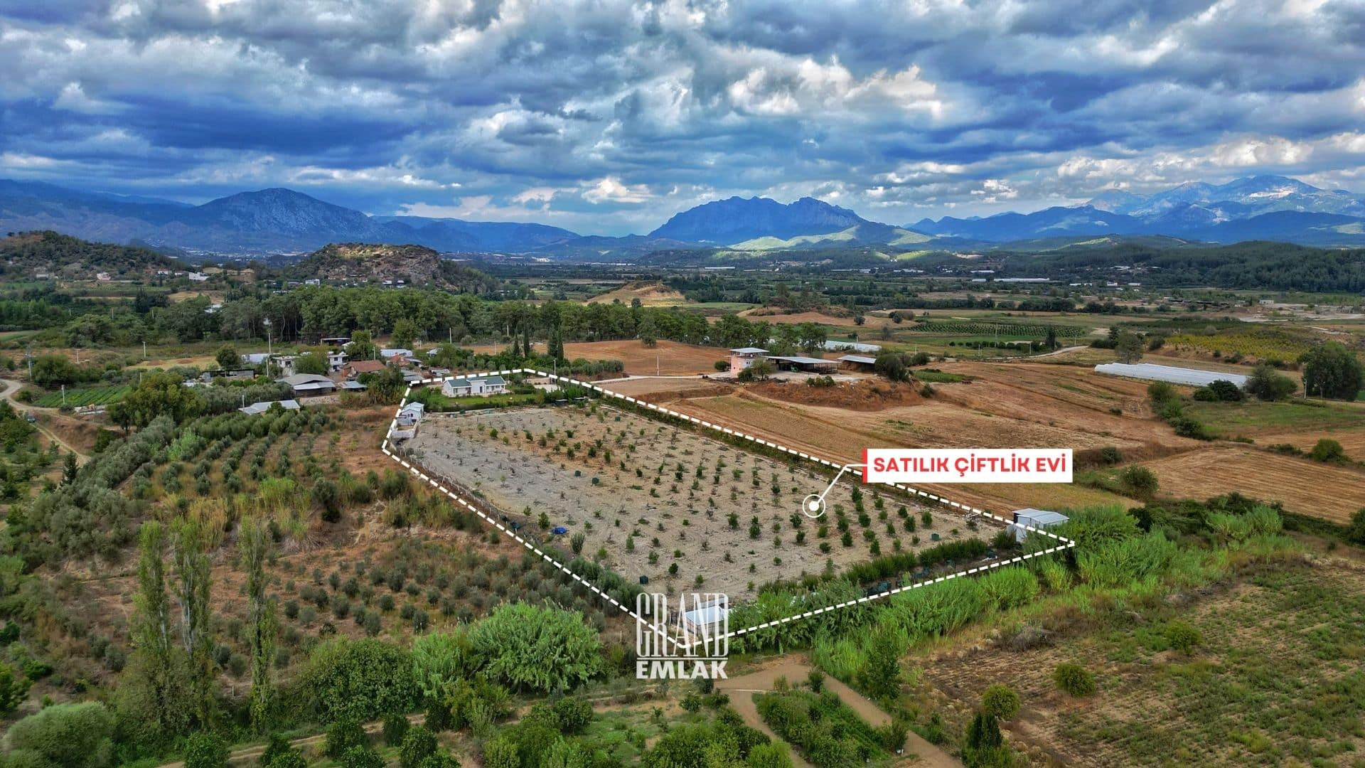 çiftlik ewvi 2 (15)