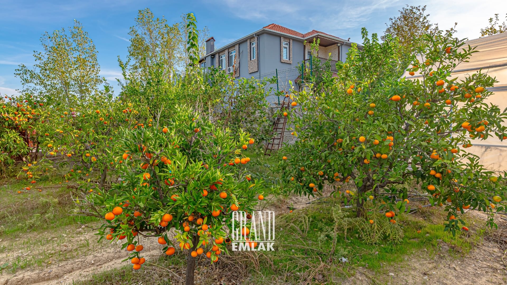 mandırlar çiftlik evi (5)